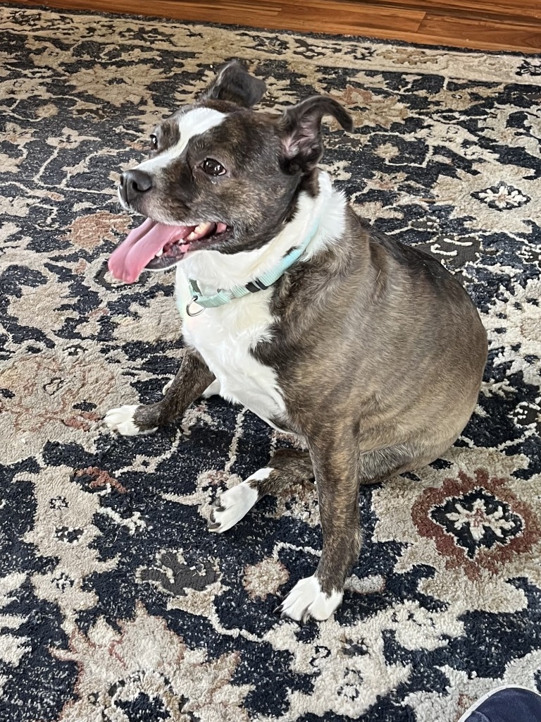 Maggie