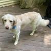 Charlie photo 3