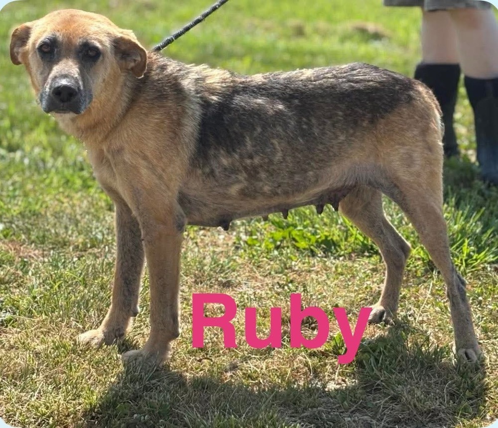 Ruby