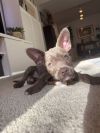 Butters photo 2