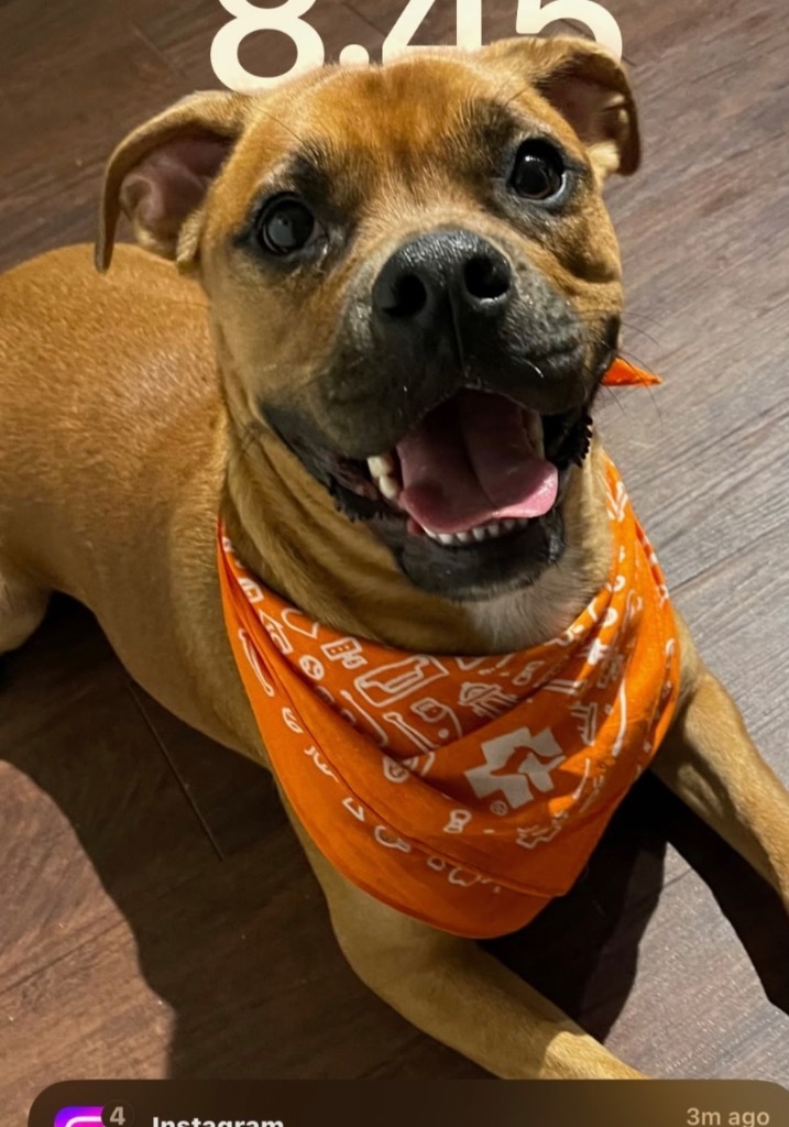 Nyla