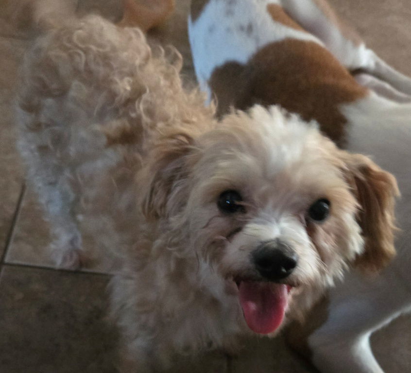 Maggie