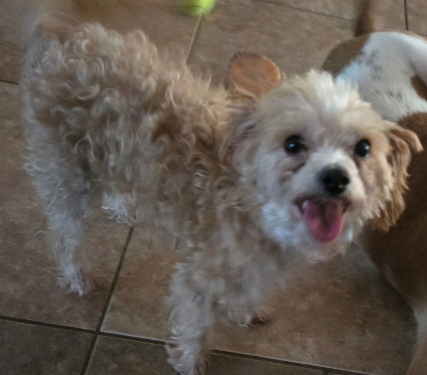 Maggie