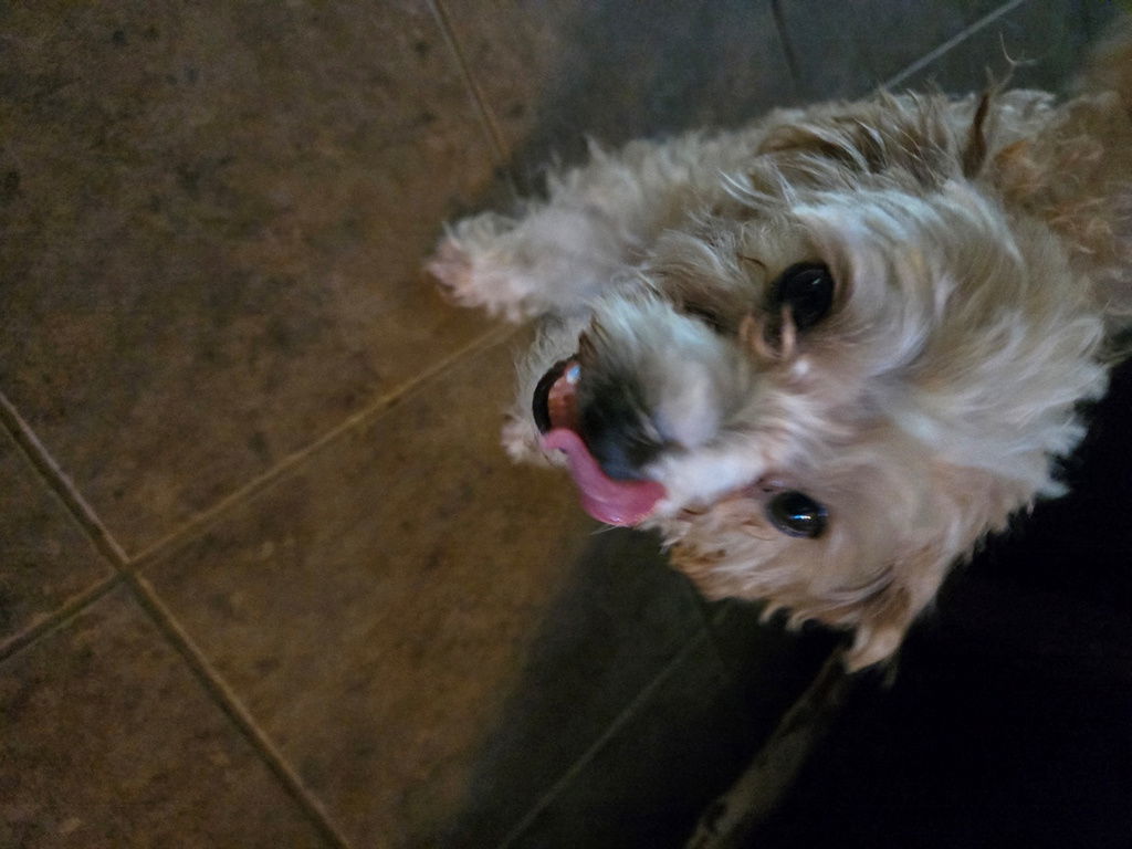 Maggie