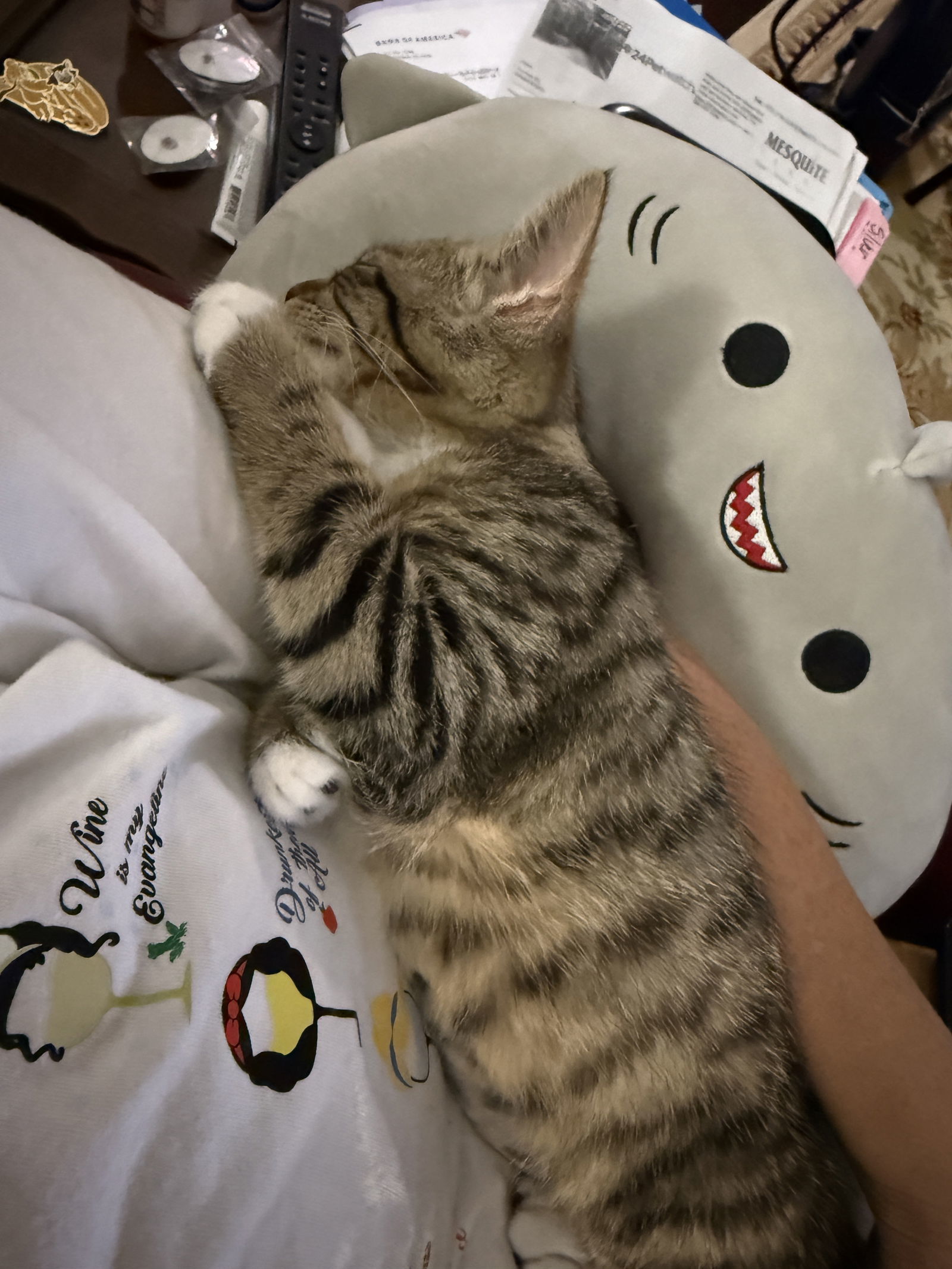 Purrscilla