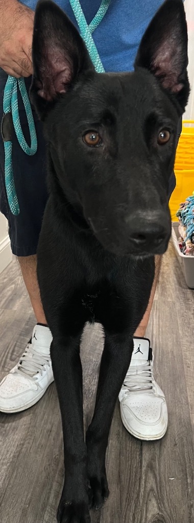 Jake