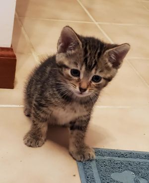 Kenny Pawgers, Baby Male unknown