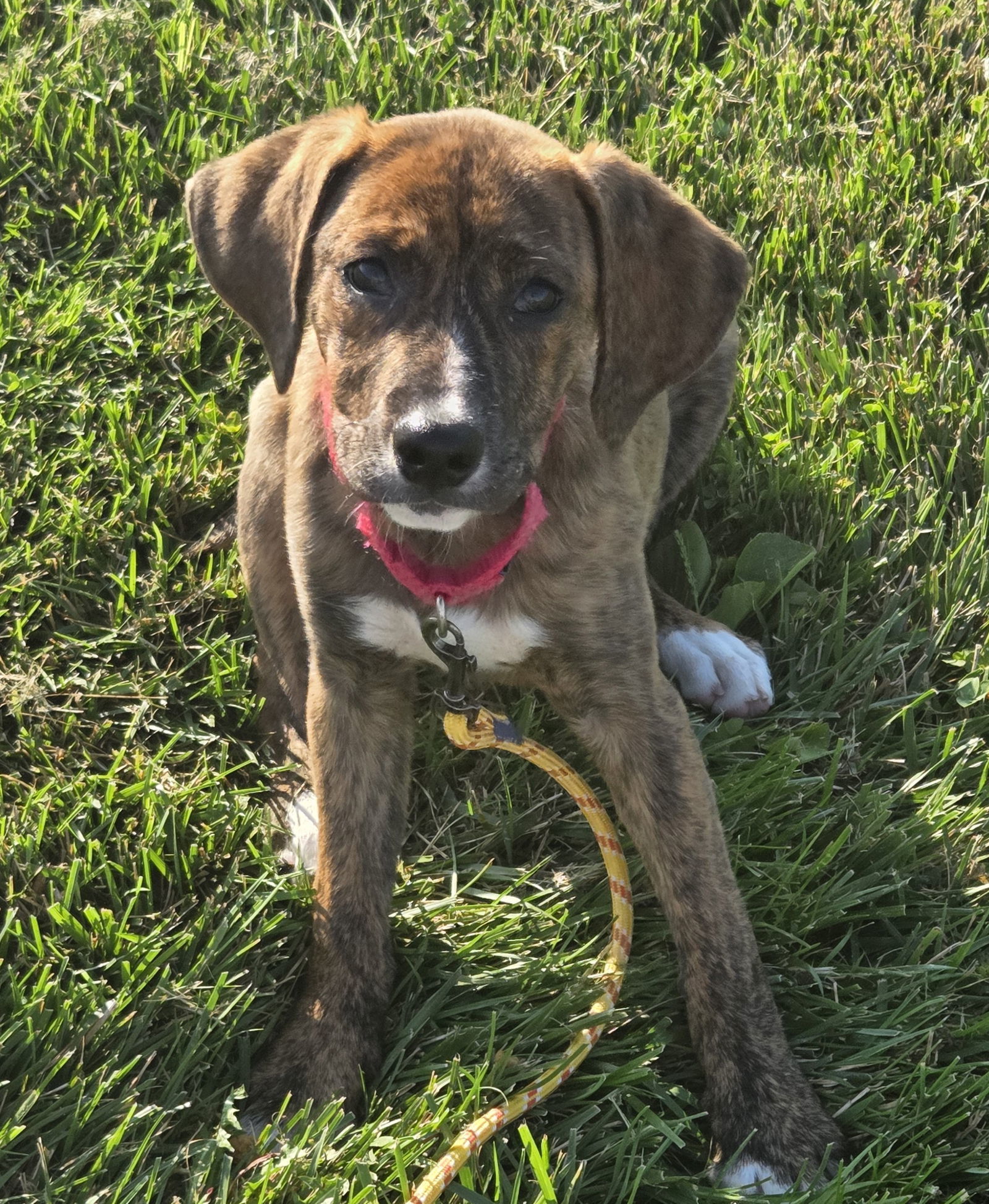 Maggie
