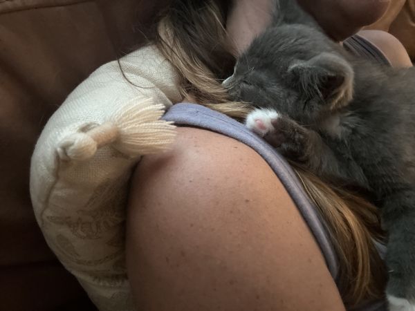 Mittens thumbnail 5