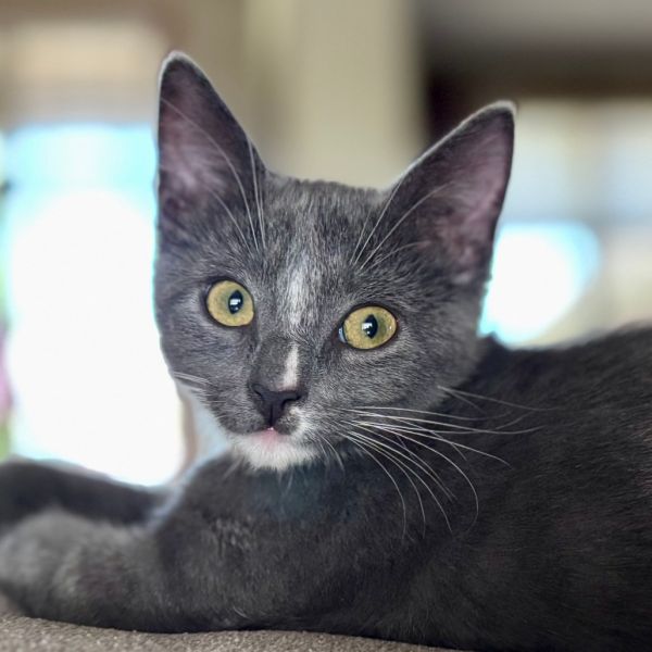 Smudge