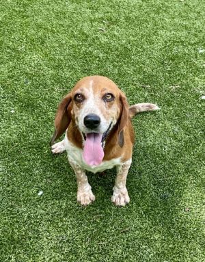 Grady, Senior Male unknown
