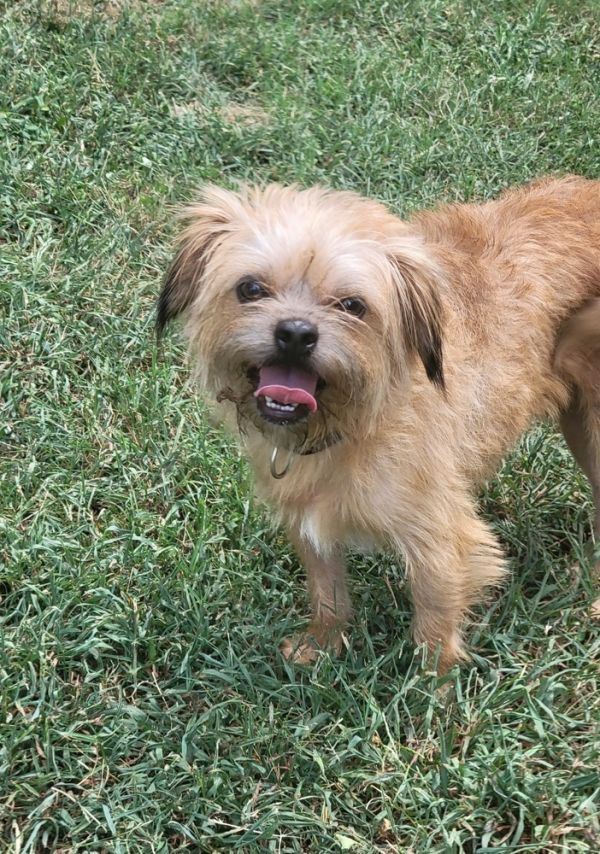 TJ (Teddy)