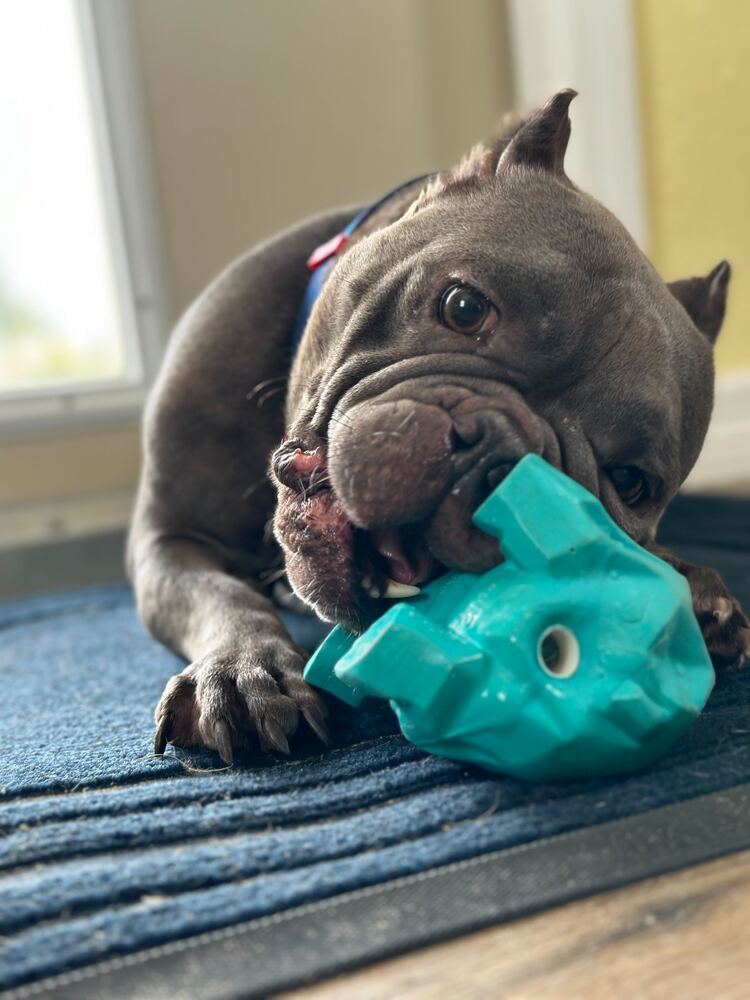 Coco