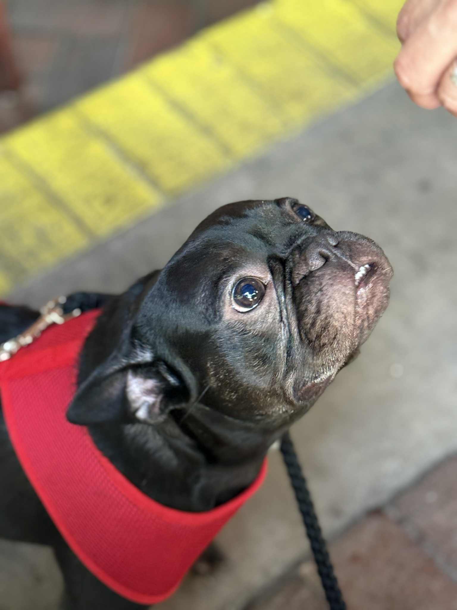 Mugsy