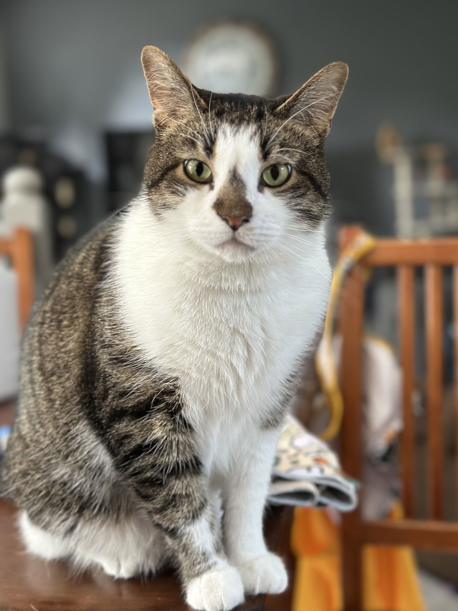 Pepper