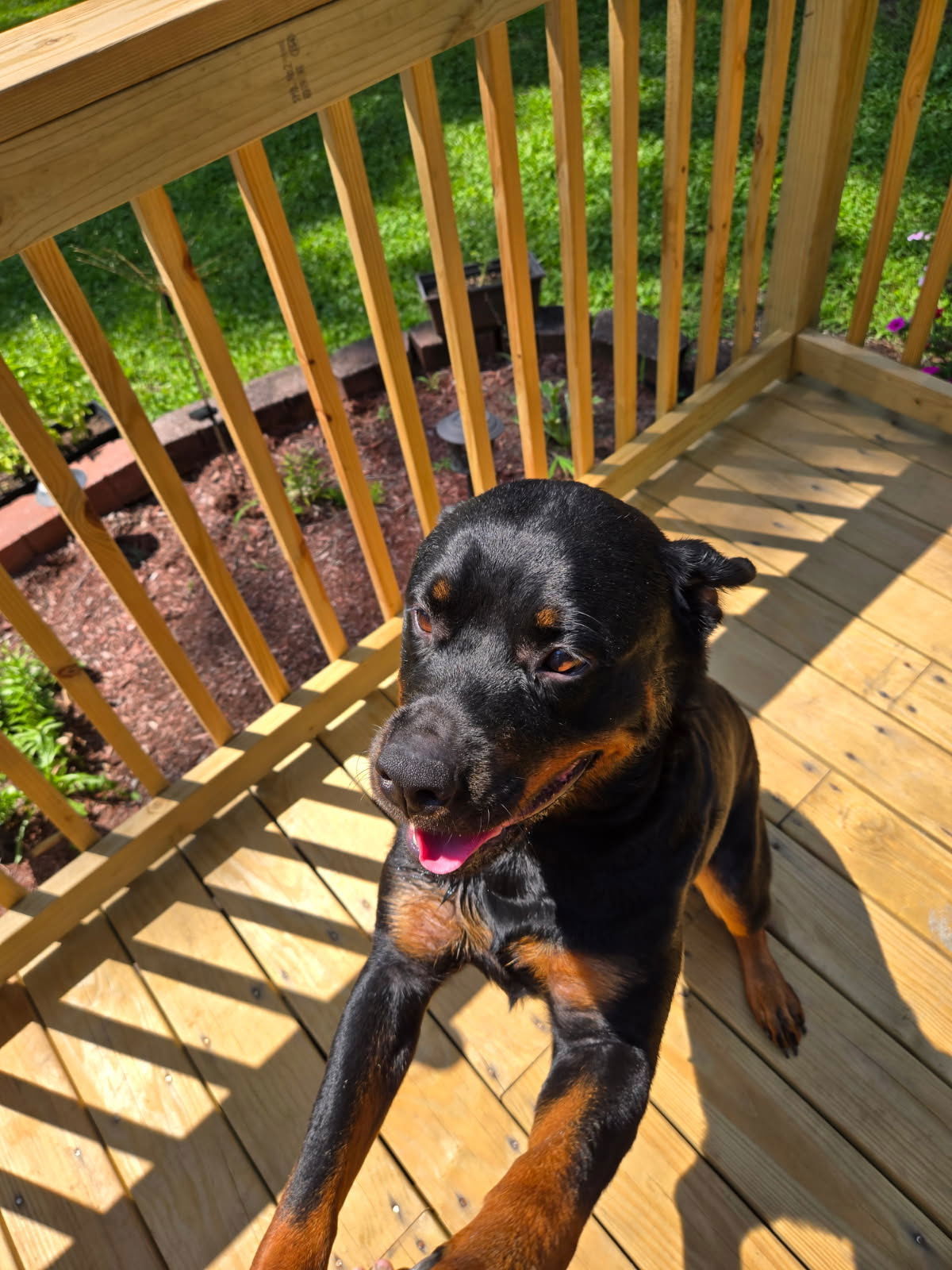 Zena - view video below too