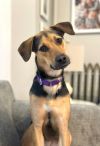 Sophie photo 2