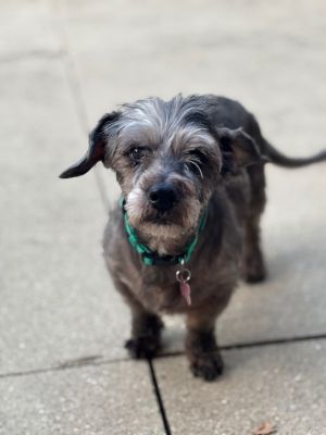 Clark Kent, Senior Male unknown