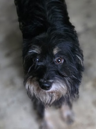 Chloe