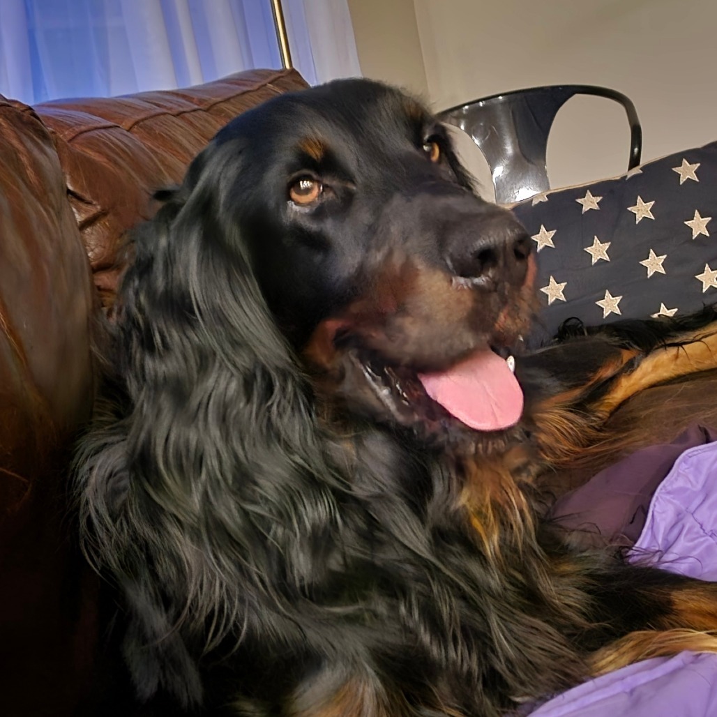 Gus