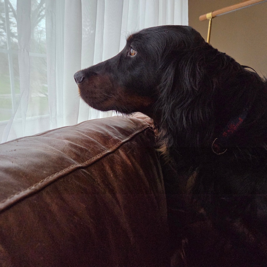 Gus