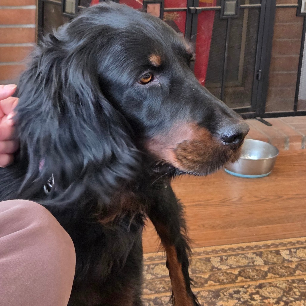 Gus