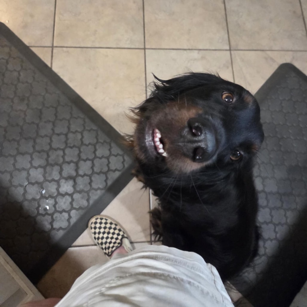 Gus