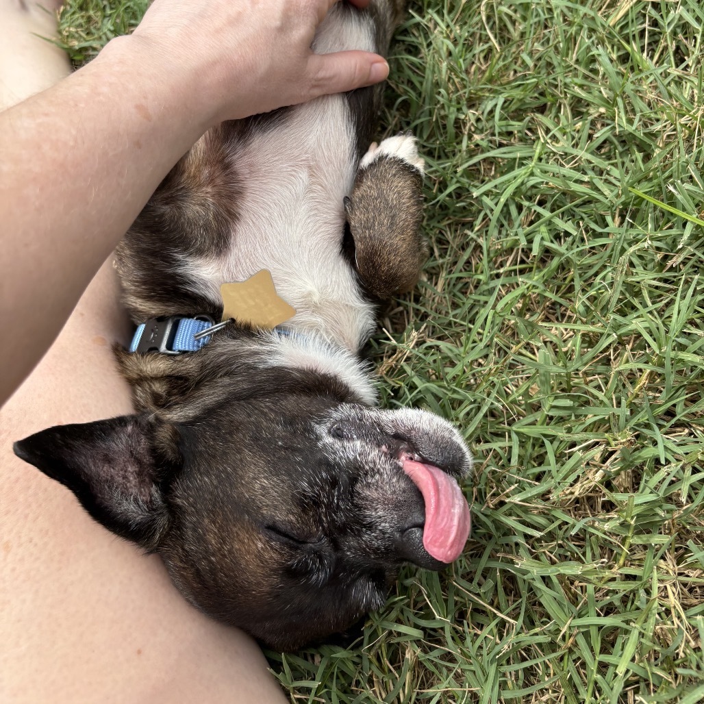 Hugo