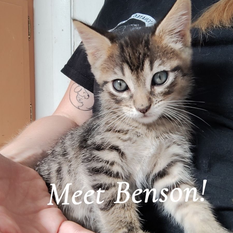 Benson