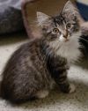 Potter (bonded with Chaz) photo 1