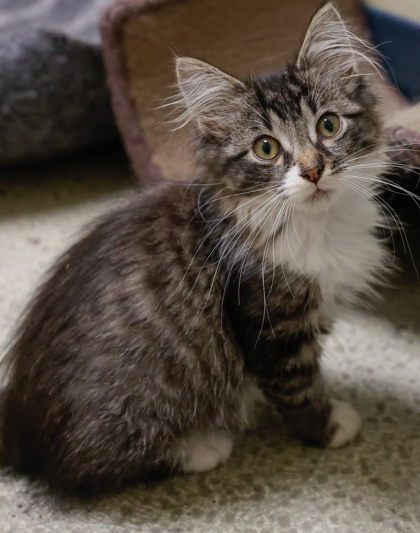 Potter (bonded with Chaz)