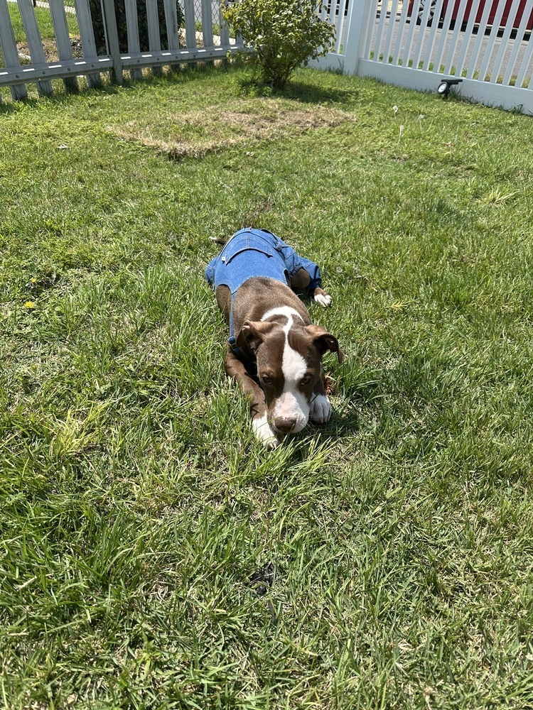 Jack