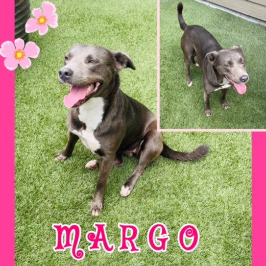 Margo