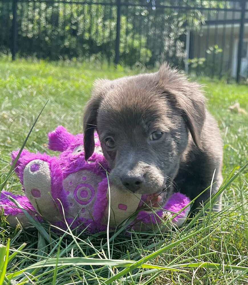 Walter