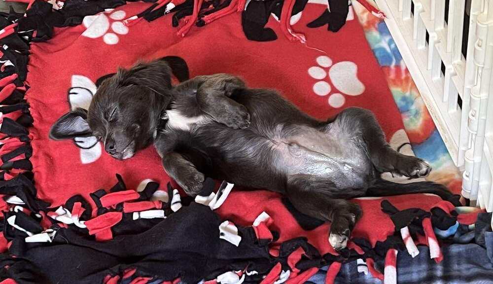 Walter