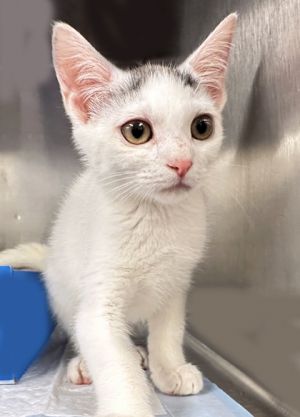 Marcy*, Baby Female unknown