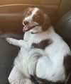 Mylo photo 2