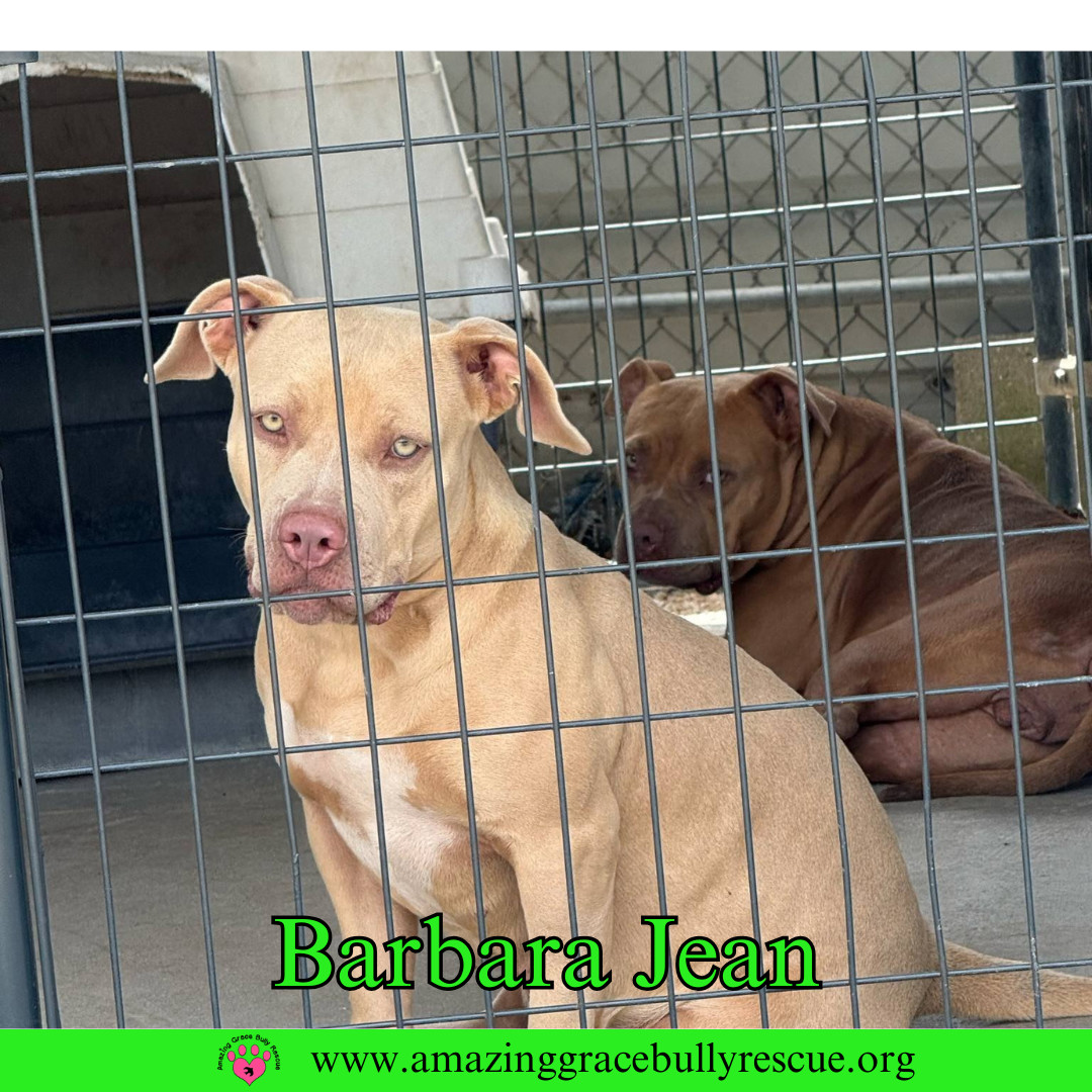 Barbara Jean (aka Honey)