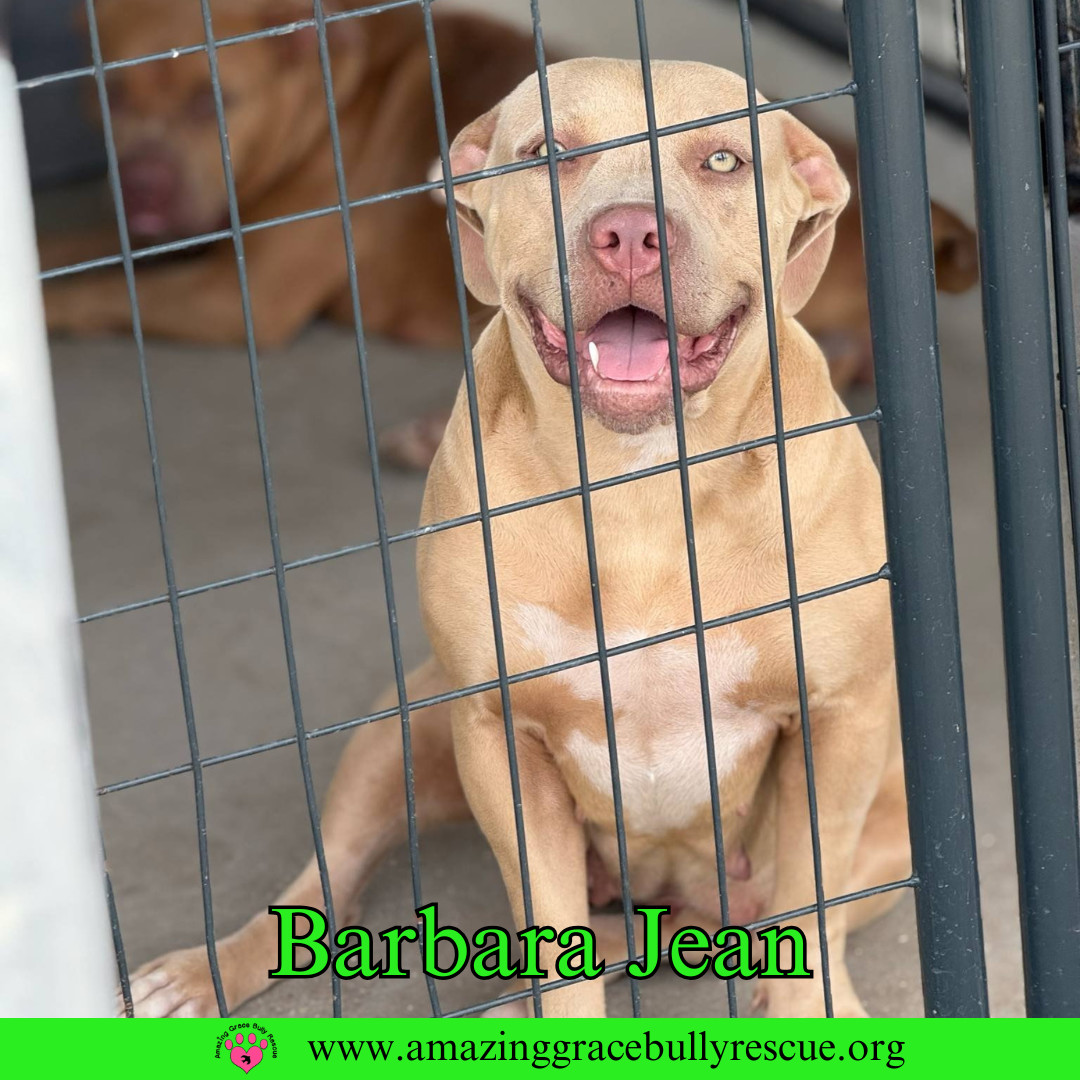 Barbara Jean (aka Honey)