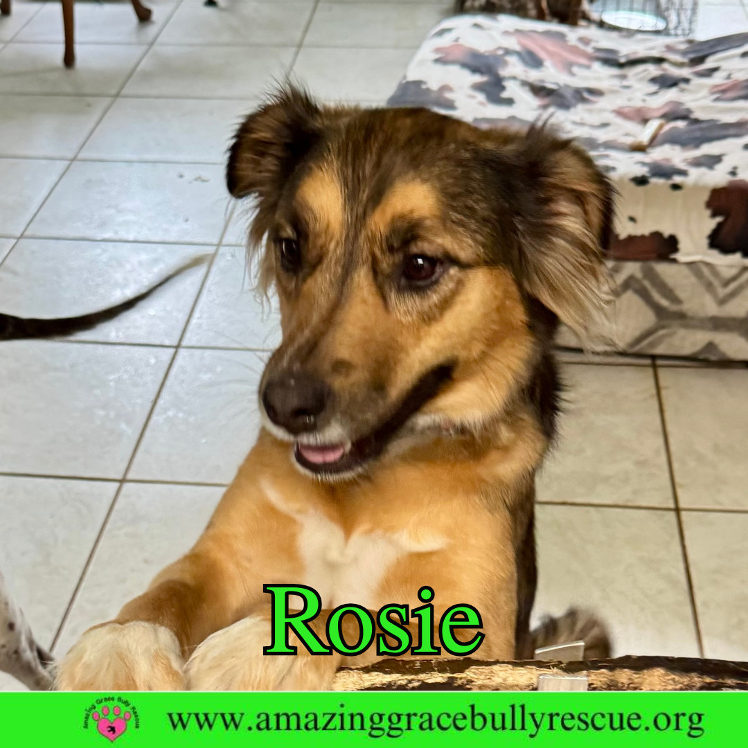 Rosie