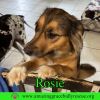 Rosie photo 3