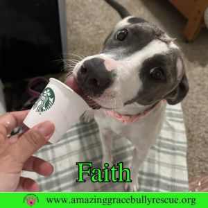 Faith, Adult Female unknown