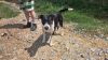 Mildred photo 2