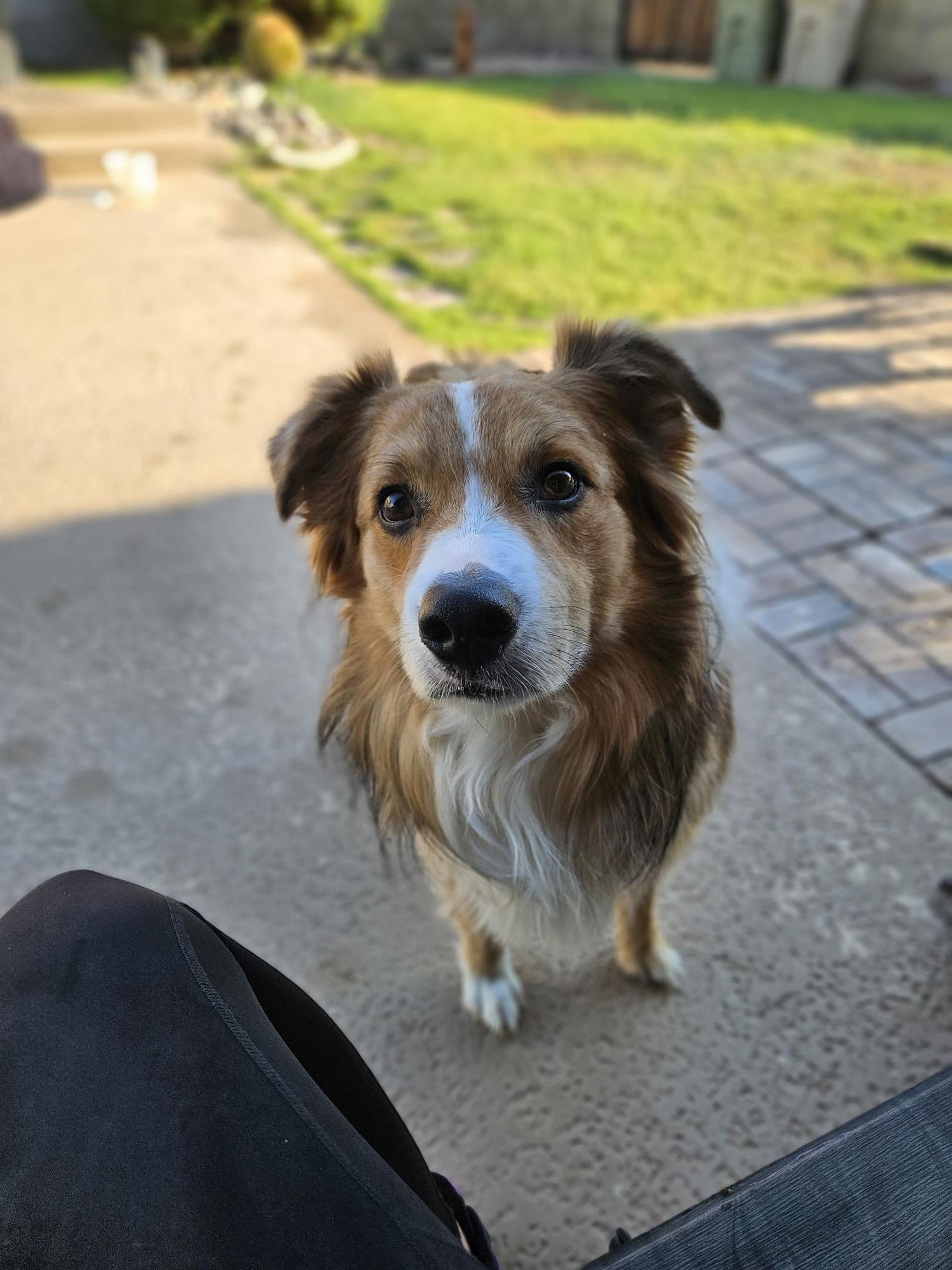 Oakley ***Courtesy Post***