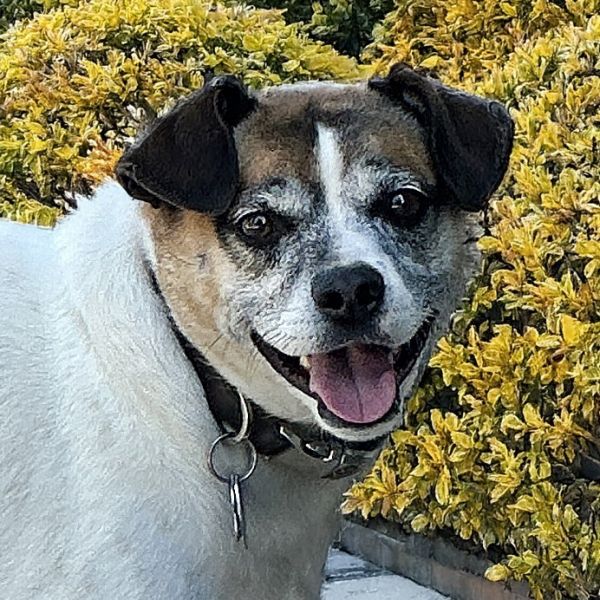 Oskar