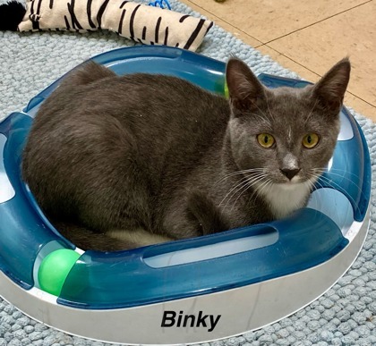 Binky