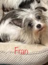 Fran photo 1