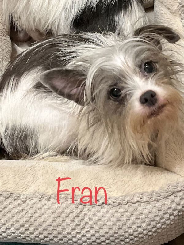 Fran