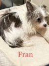 Fran photo 3