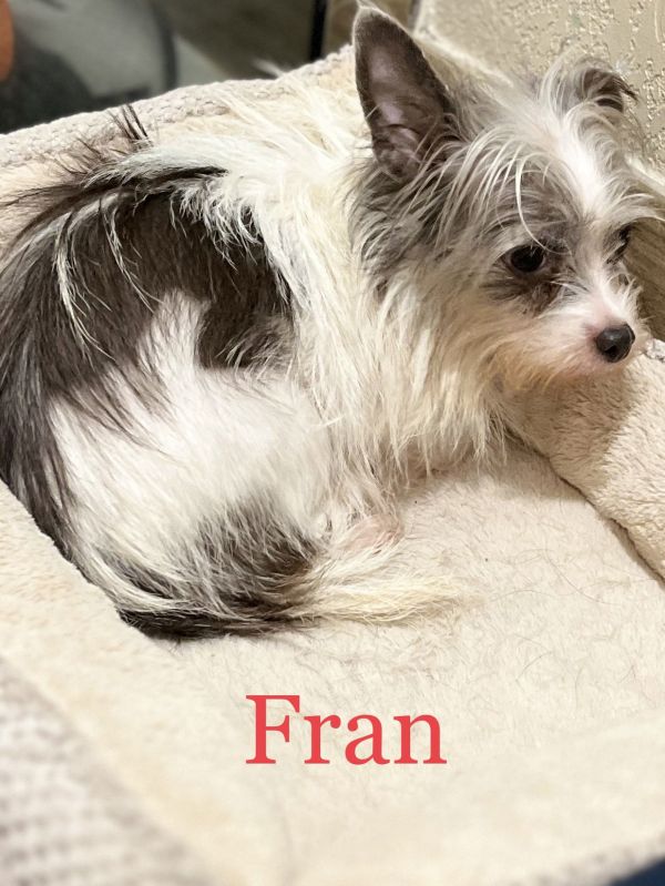 Fran thumbnail 3